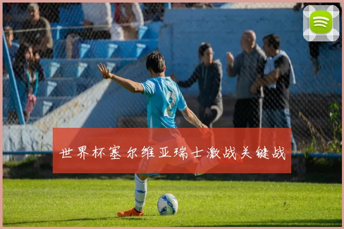 世界杯塞尔维亚瑞士激战关键战