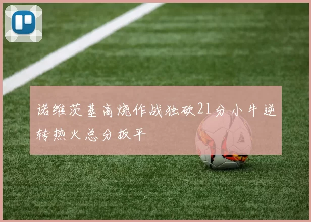 诺维茨基高烧作战独砍21分小牛逆转热火总分扳平