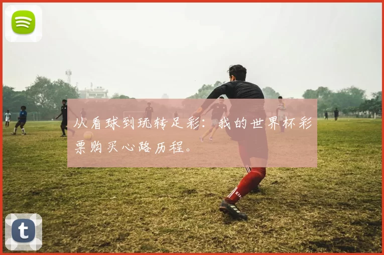 从看球到玩转足彩：我的世界杯彩票购买心路历程。