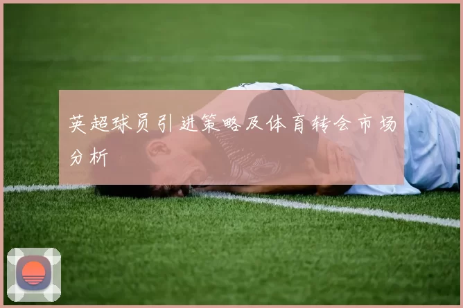 英超球员引进策略及体育转会市场分析