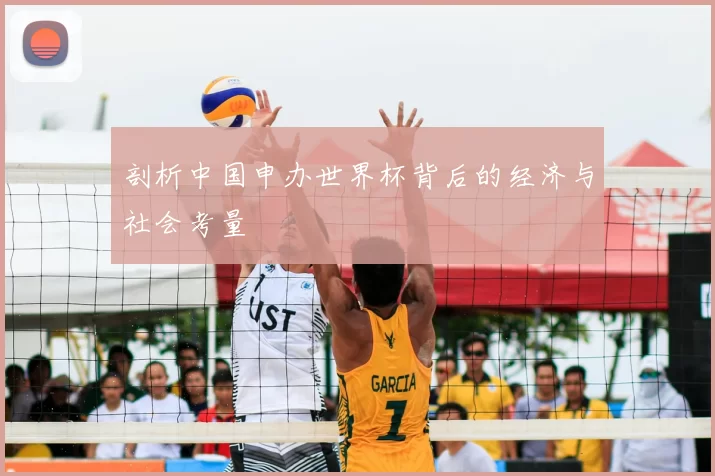 剖析中国申办世界杯背后的经济与社会考量
