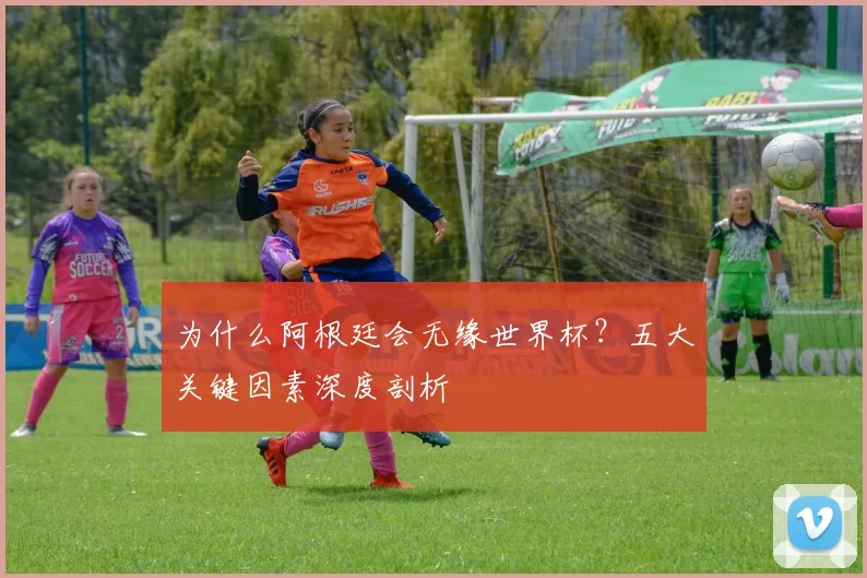 为什么阿根廷会无缘世界杯?五大关键因素深度剖析