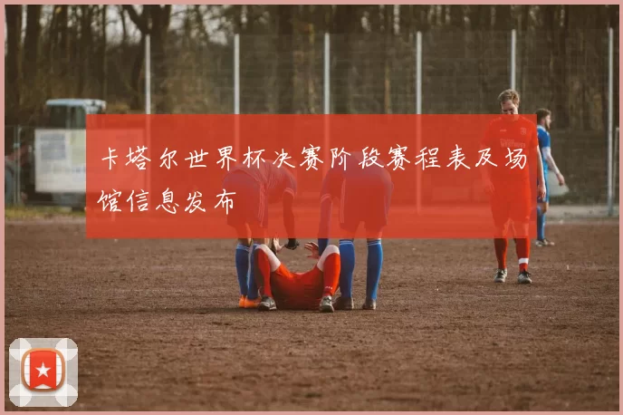 卡塔尔世界杯决赛阶段赛程表及场馆信息发布