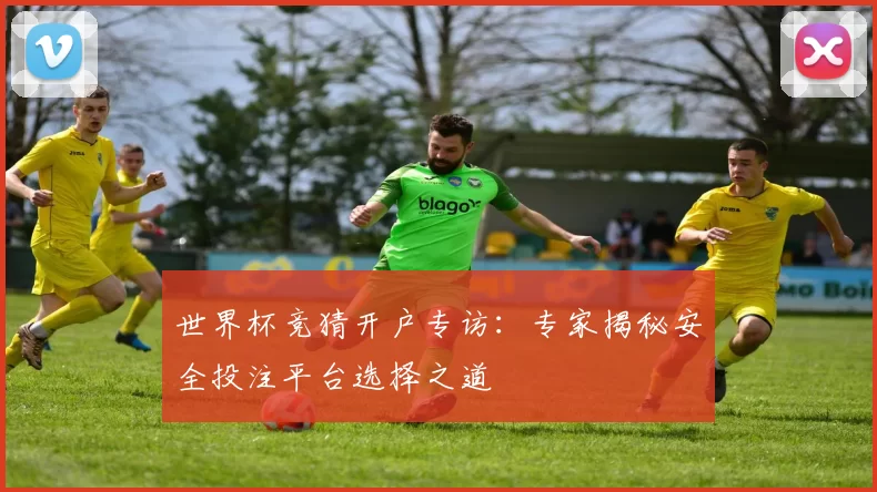 世界杯竞猜开户专访：专家揭秘安全投注平台选择之道