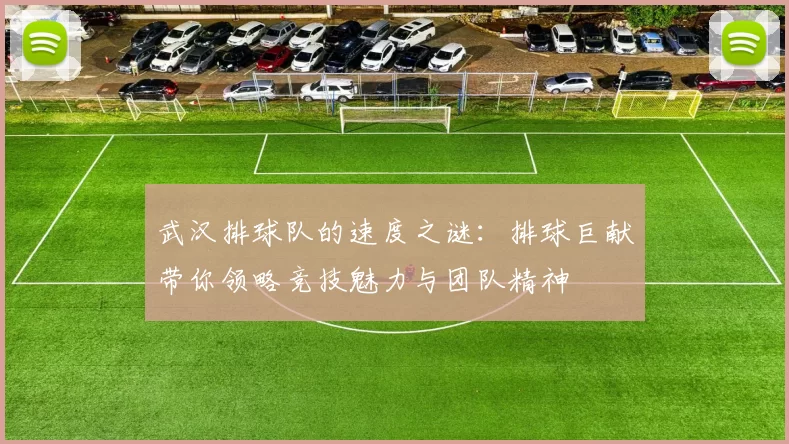 武汉排球队的速度之谜：排球巨献带你领略竞技魅力与团队精神