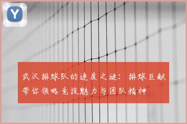 武汉排球队的速度之谜：排球巨献带你领略竞技魅力与团队精神