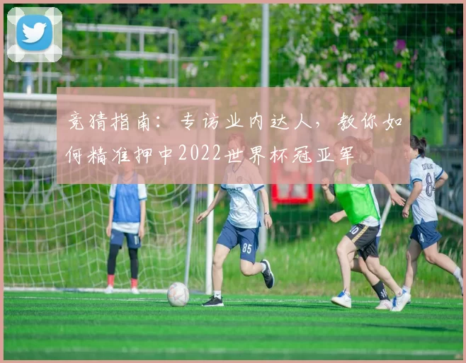 竞猜指南：专访业内达人，教你如何精准押中2022世界杯冠亚军