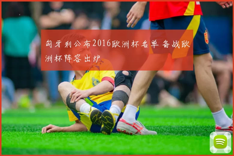 匈牙利公布2016欧洲杯名单 备战欧洲杯阵容出炉