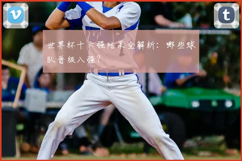 世界杯十六强结果全解析：哪些球队晋级八强？