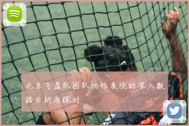 北京飞盘队团队协作表现的深入数据分析与探讨