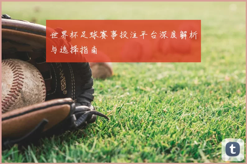 世界杯足球赛事投注平台深度解析与选择指南