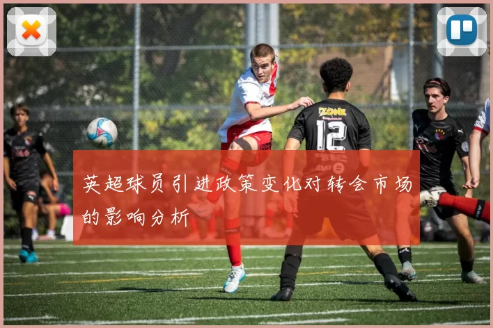英超球员引进政策变化对转会市场的影响分析