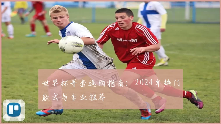 世界杯手套选购指南：2024年热门款式与专业推荐