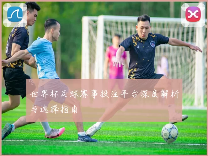 世界杯足球赛事投注平台深度解析与选择指南