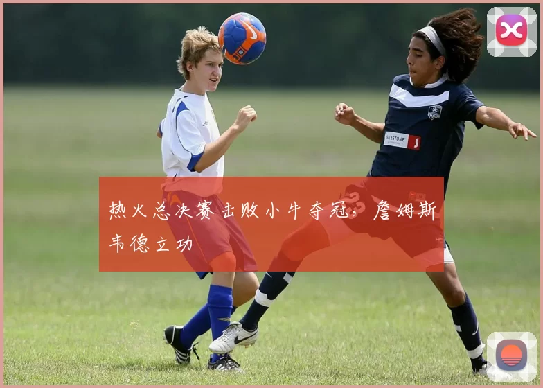 热火总决赛击败小牛夺冠，詹姆斯韦德立功