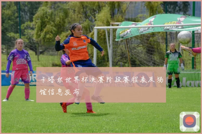 卡塔尔世界杯决赛阶段赛程表及场馆信息发布