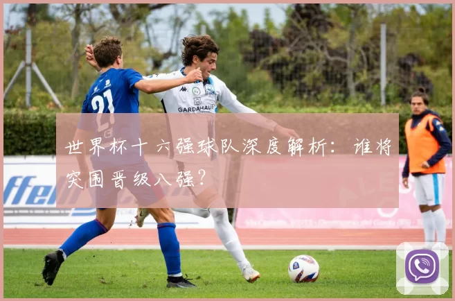 世界杯十六强球队深度解析:谁将突围晋级八强?