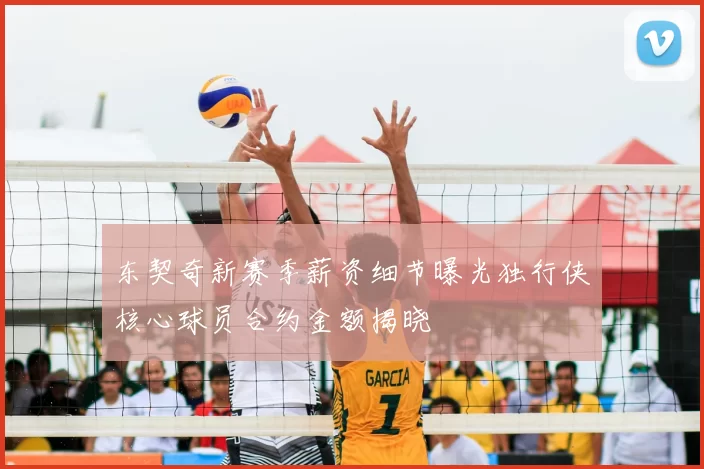 东契奇新赛季薪资细节曝光独行侠核心球员合约金额揭晓
